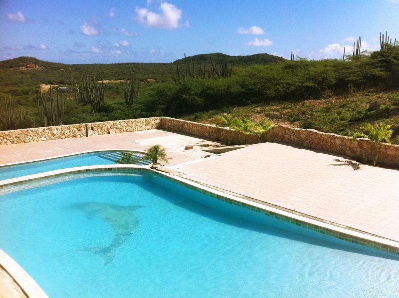 Hillside Resort, Kralendijk, Accommodatie Bonaire, zwembad met ligbedden