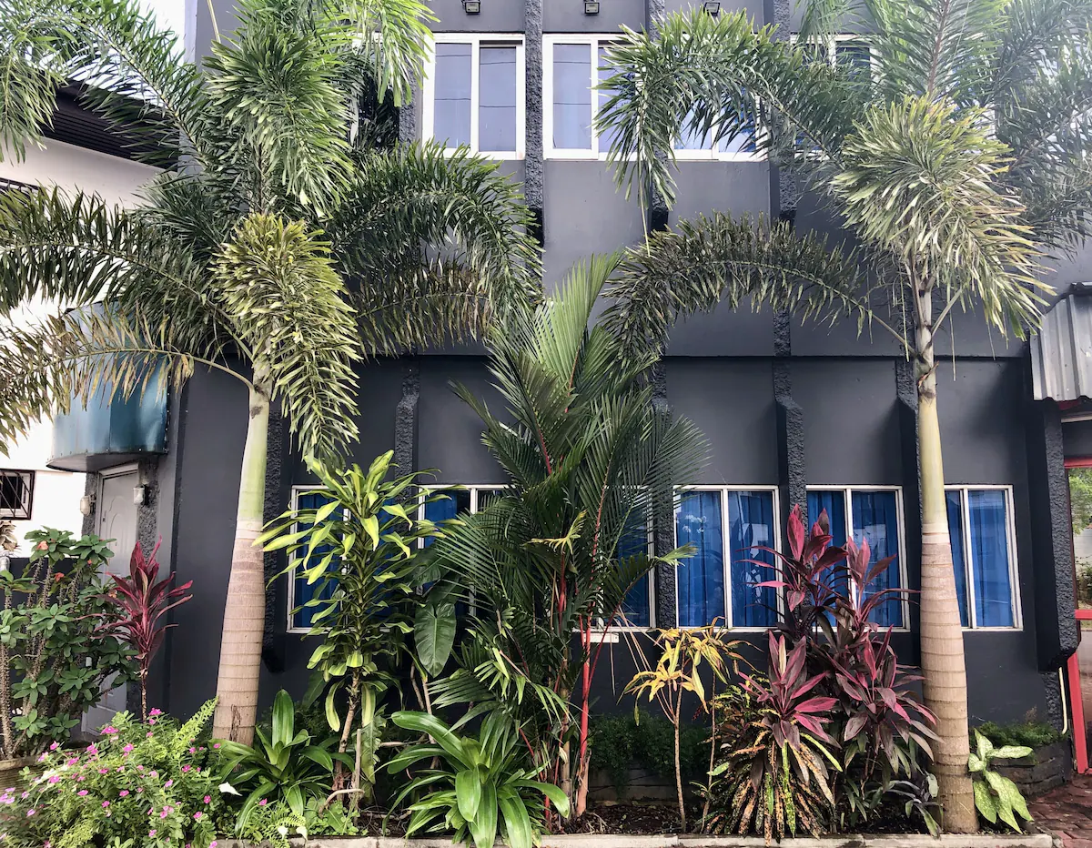 Holland lodge-Suriname-Paramaribo-accommodatie-natuur