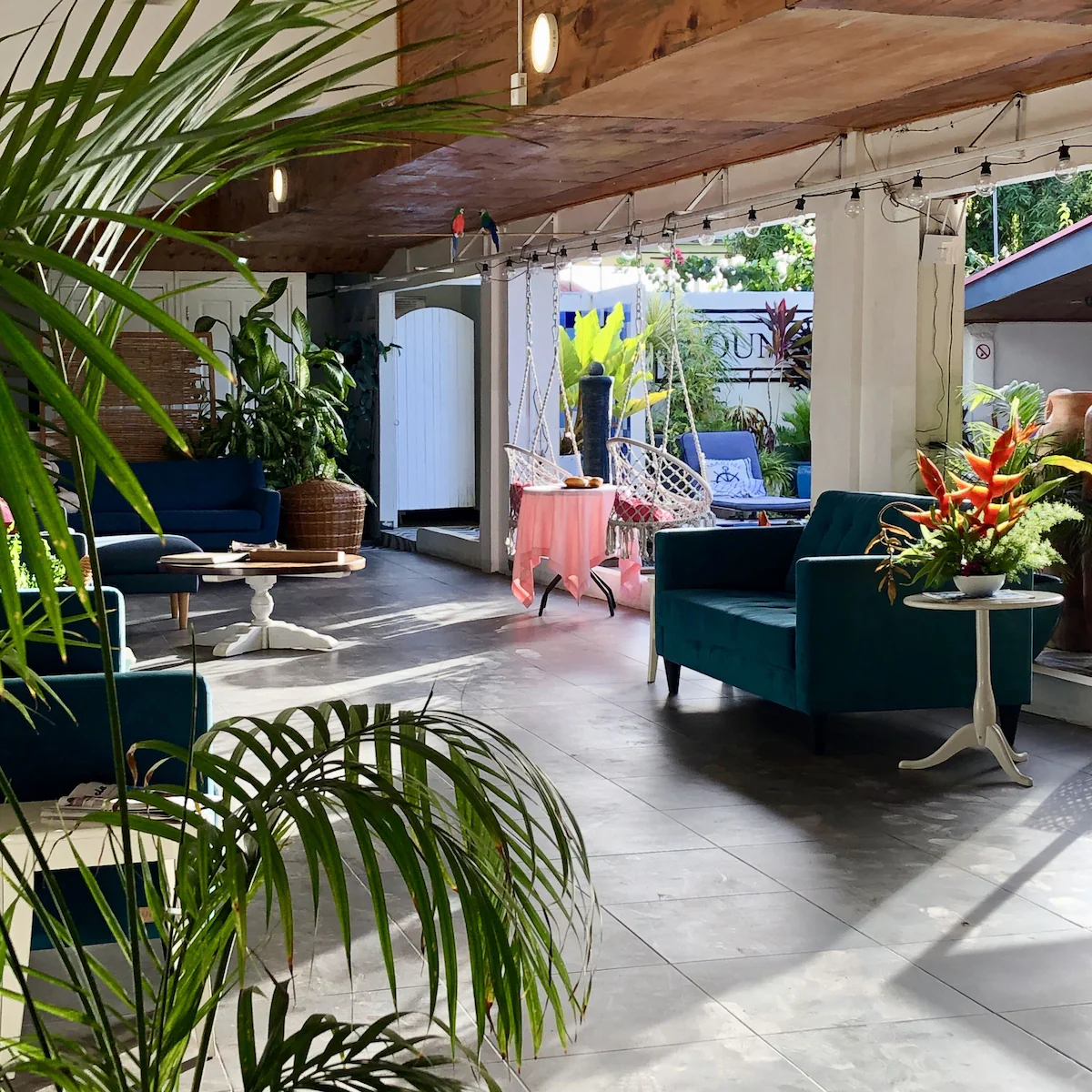 Holland Lodge-Suriname-Paramaribo-accommodatie-receptie