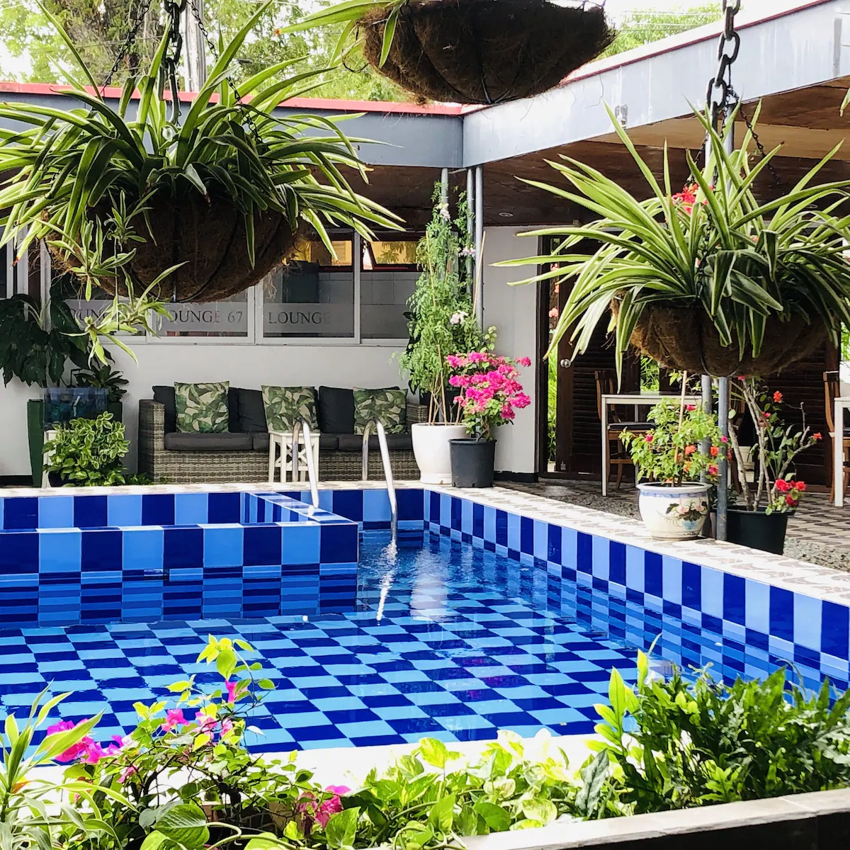 Holland Lodge-Suriname-Paramaribo-accommodatie-zwembad met terras