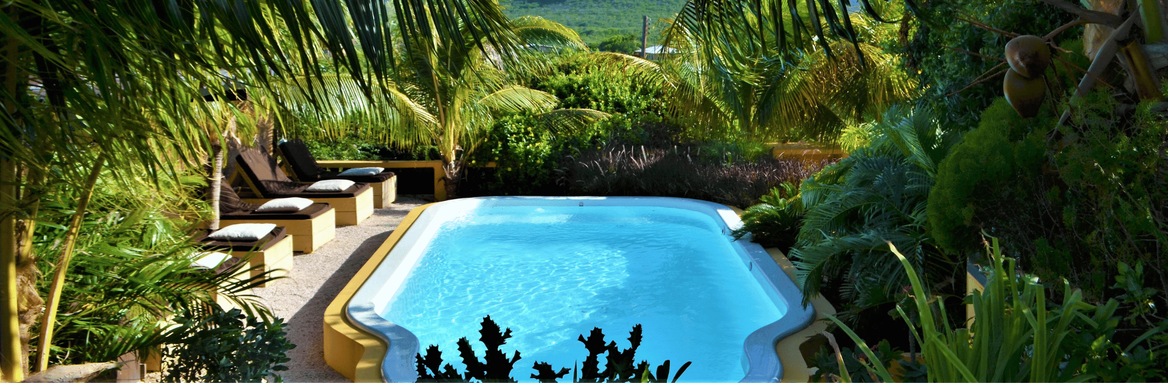 Jan Kok Lodges Curacao St. Willibrordus, accommodatie, zwembad met ligbedden