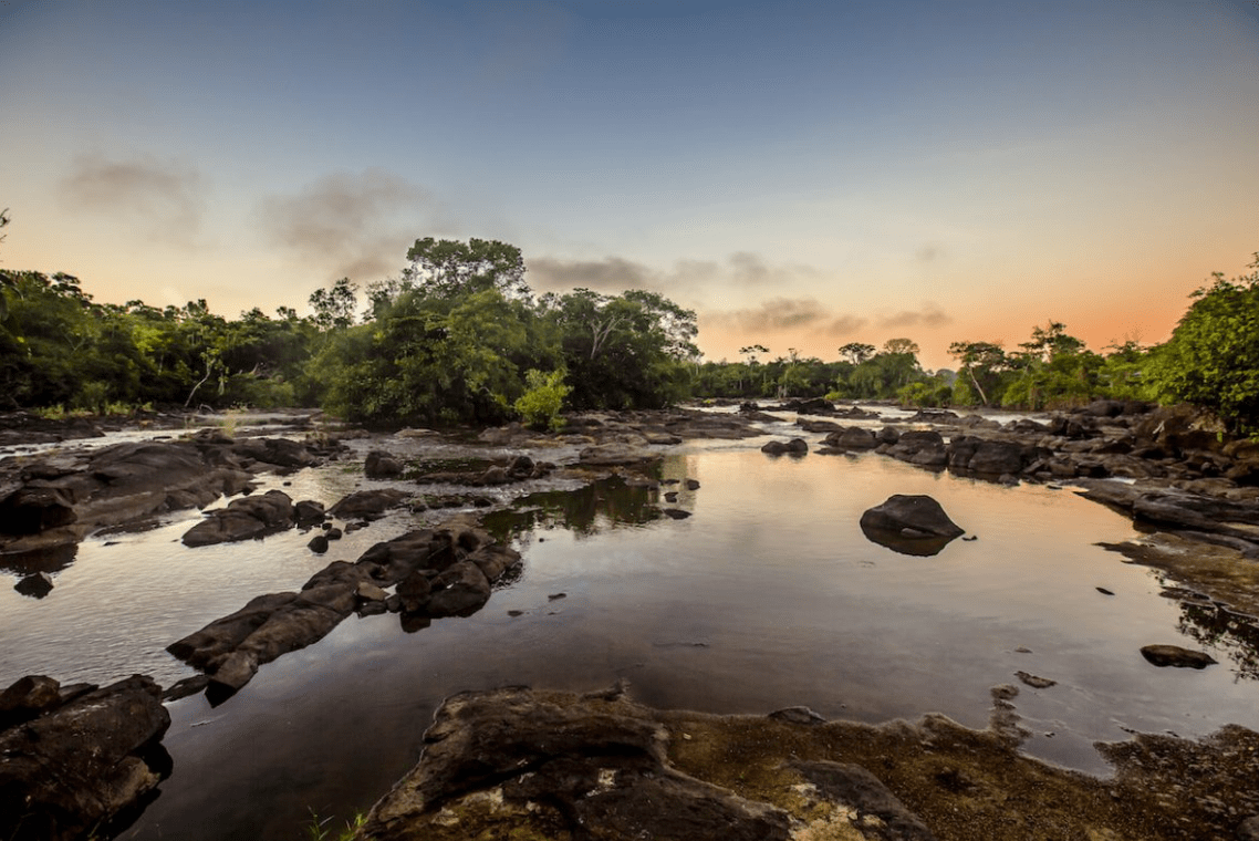 knini-paati-jungle-river-resort-Suriname-accommodatie-rivier-natuur