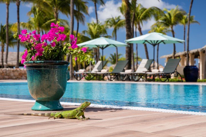 manchebo-beach-resort-spa-4