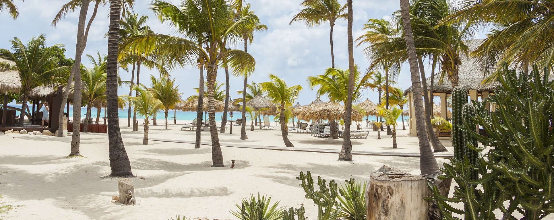 Manchebo Beach Resort en Spa, Aruba, Accommodatie aan zee en strand, zwembad met bar en restaurant en ligbedden