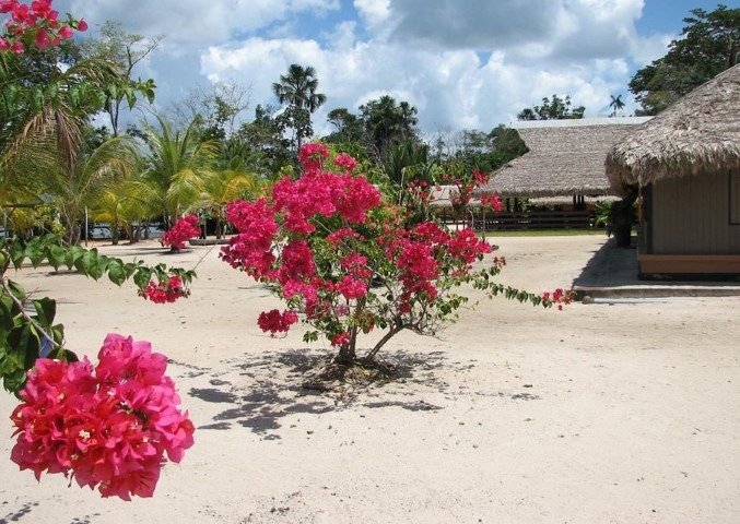overbridge-river-resort-Suriname-accommodatie-strand