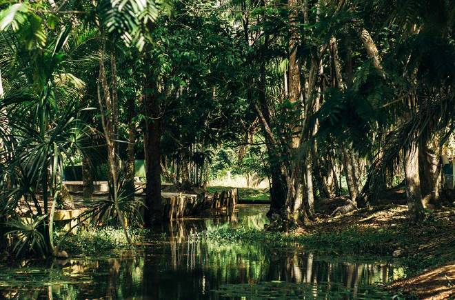 overbridge-river-resort-Suriname-accommodatie-jungle-water