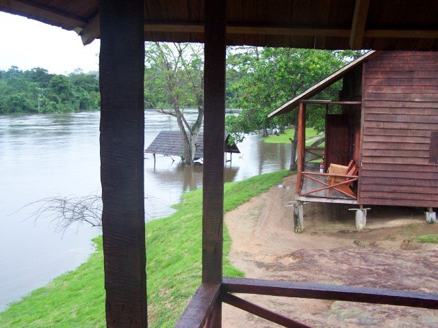palumeu-jungle-lodge-3