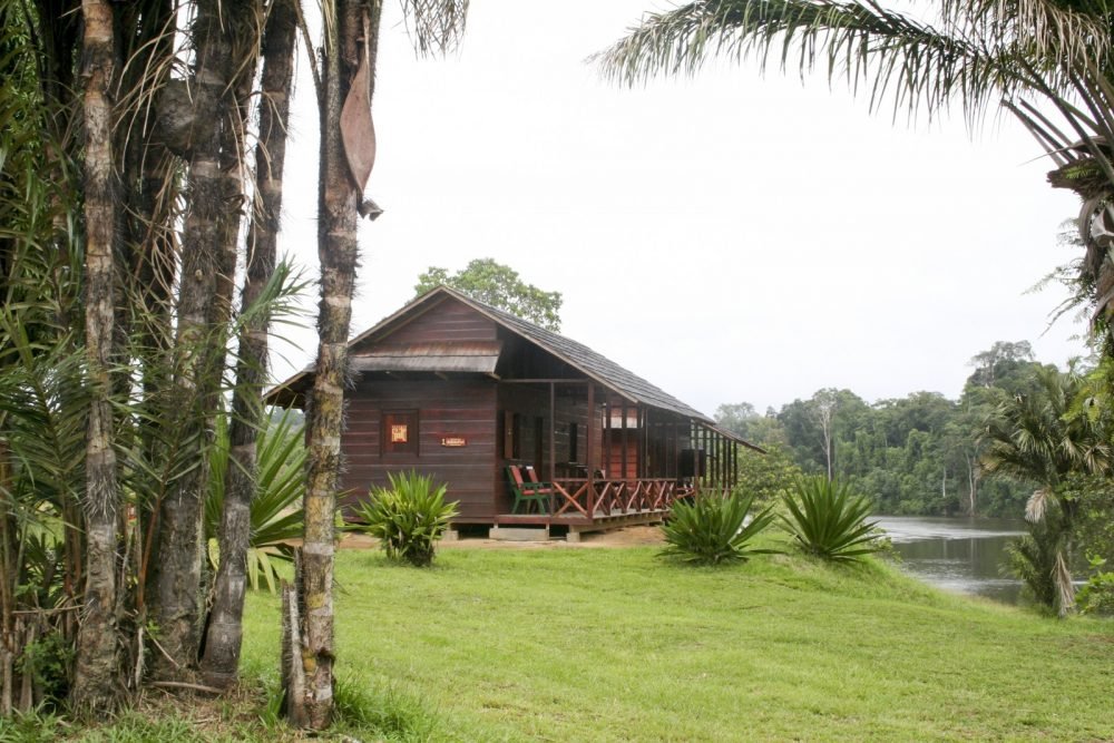 palumeu-jungle-lodge-6