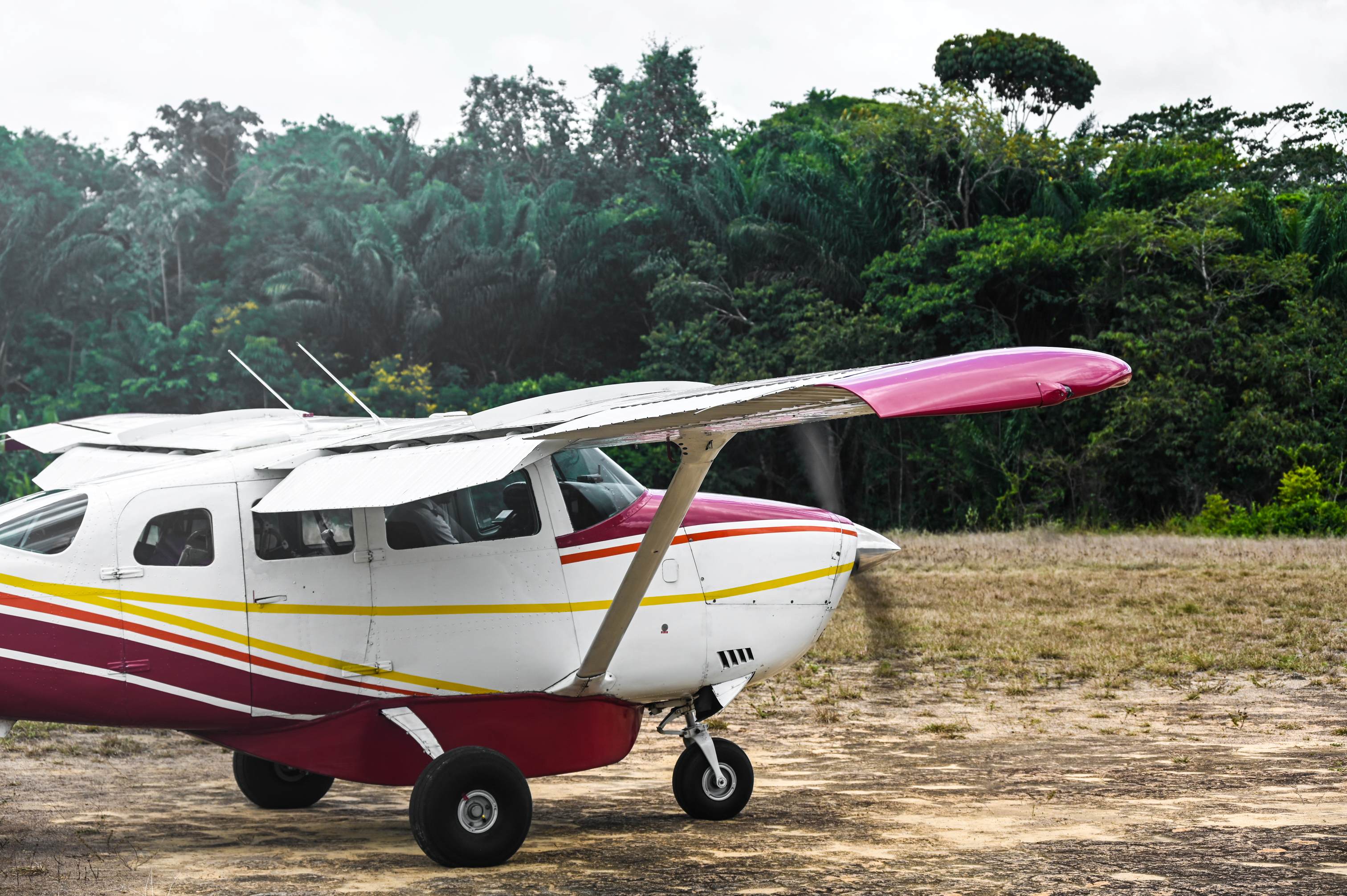 palumeu-jungle-lodge-7