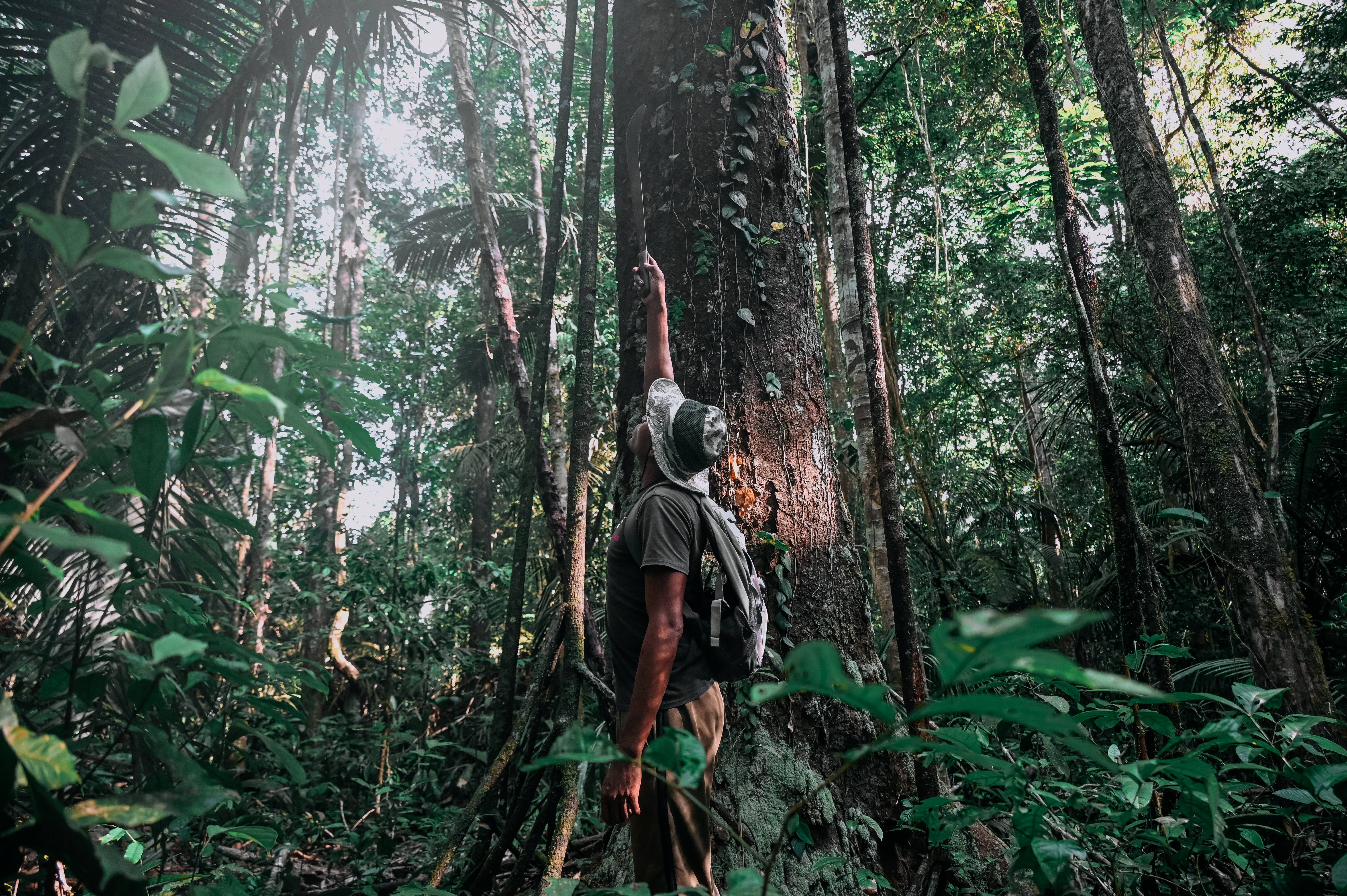 palumeu-jungle-lodge-8