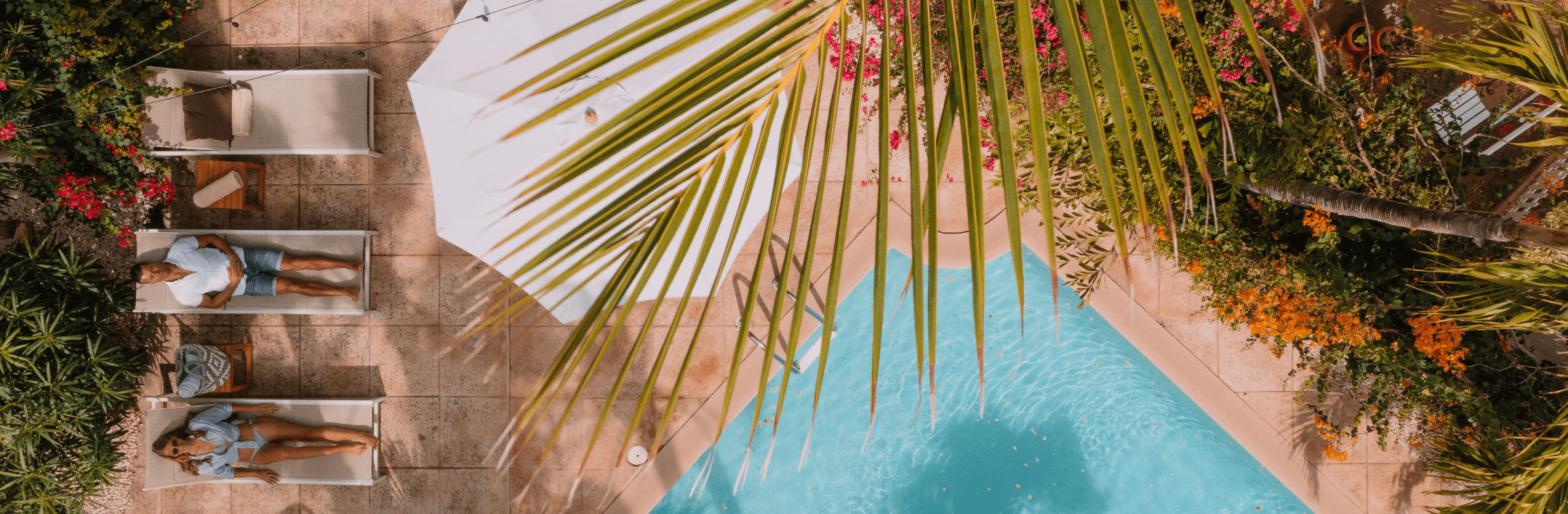 Paradera Park, Aruba, Accommodatie, boutique resort, terras, zwembad met ligbedden