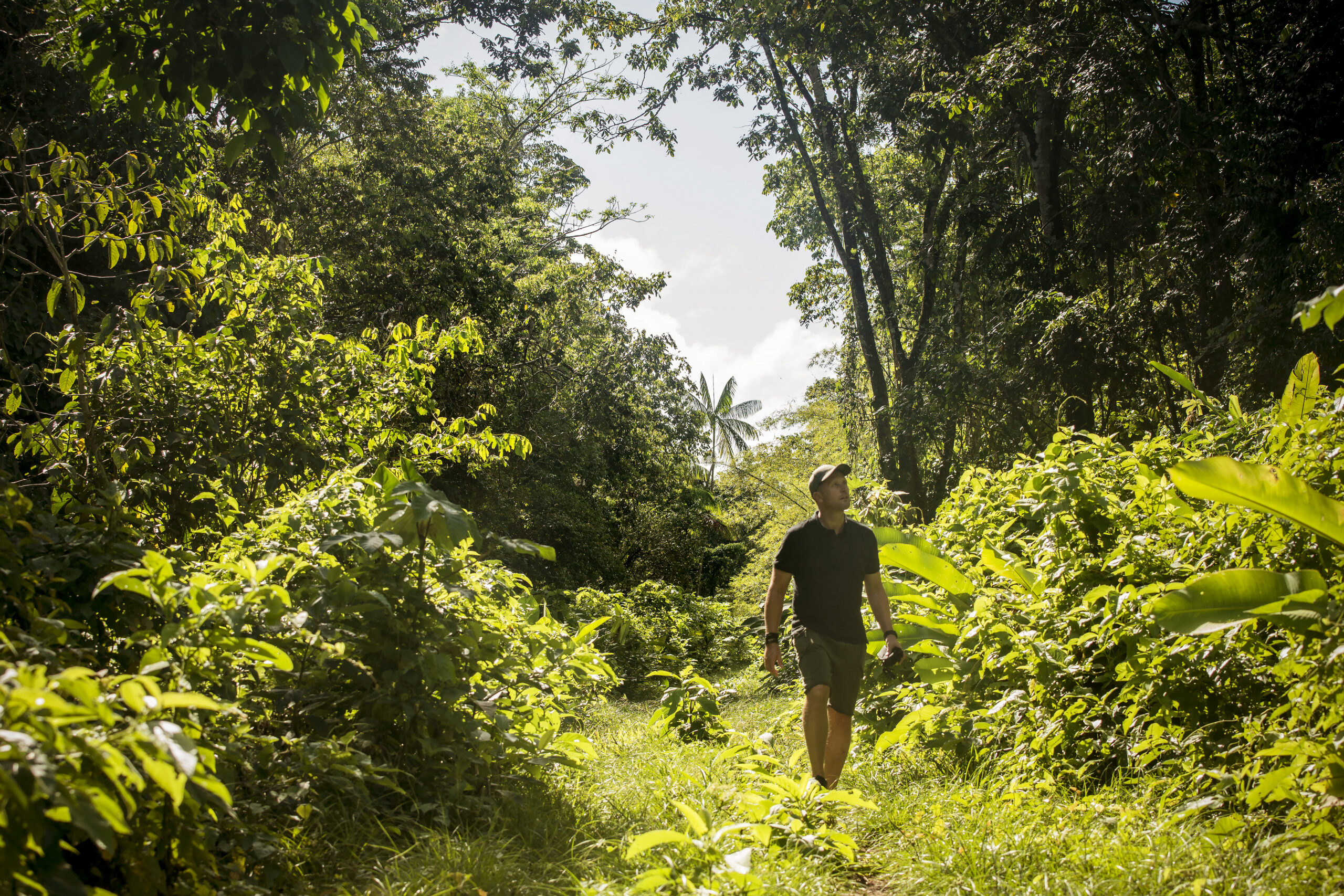 Peperpot, accommodatie Suriname, jungle wandelen hiken