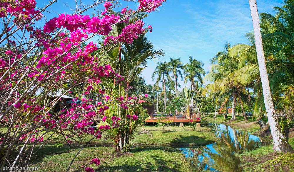 plantage-resort-frederiksdorp-1