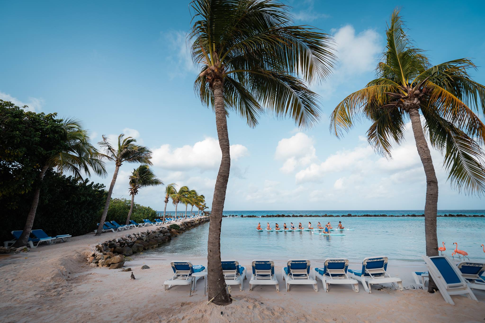 renaissance-wind-creek-aruba-resort-4