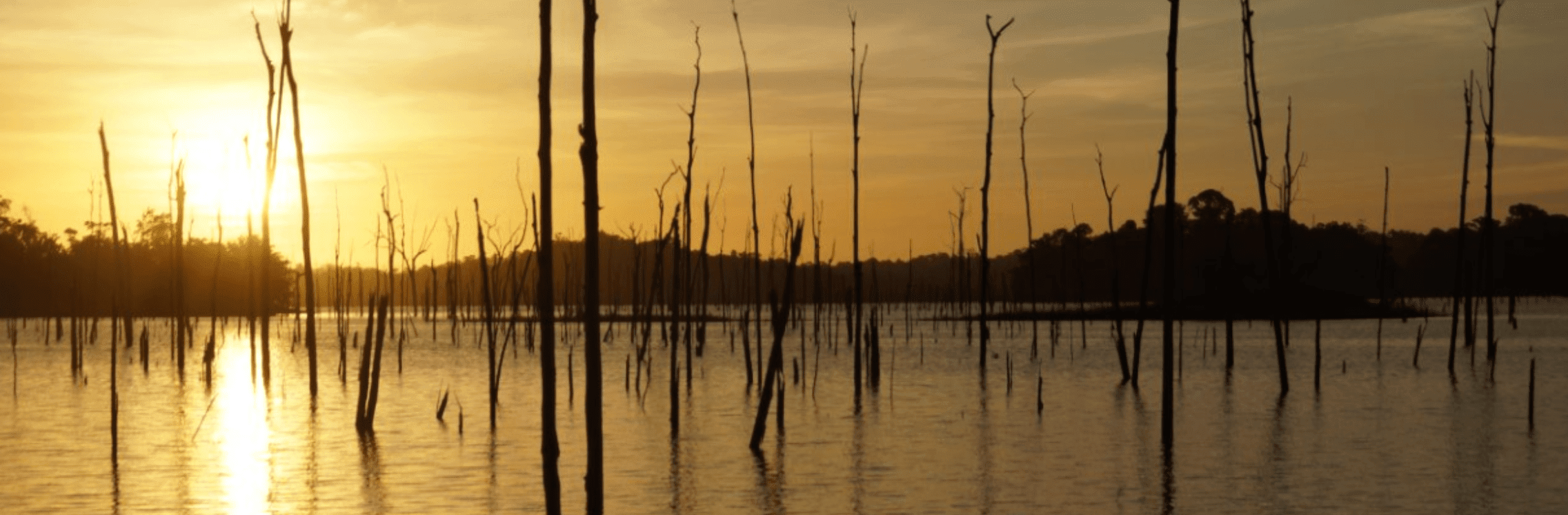 ston-island-brownsberg-Suriname-natuur-rivier