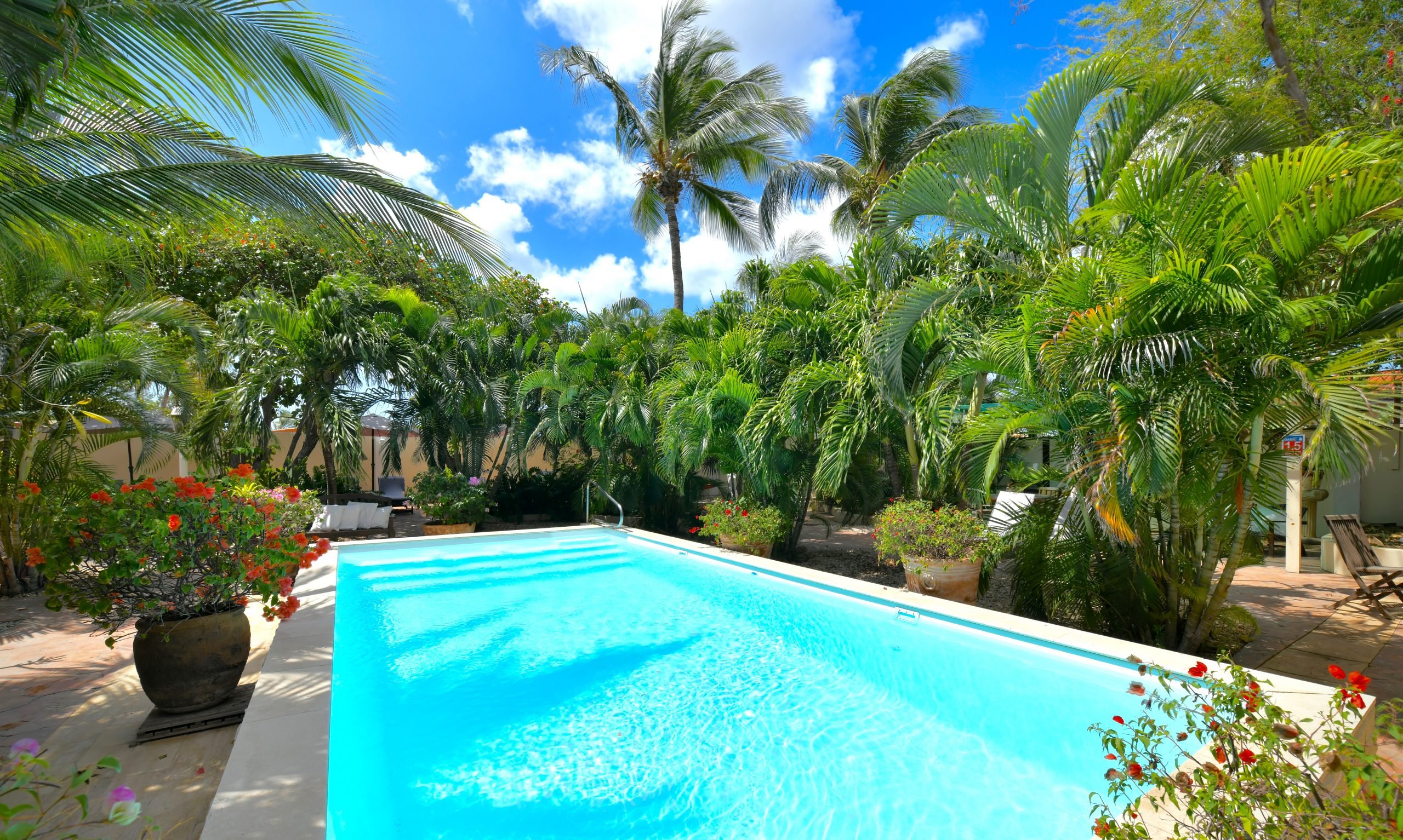 Wonders Boutique hotel, Accommodatie Aruba, Oranjestad, zwembad