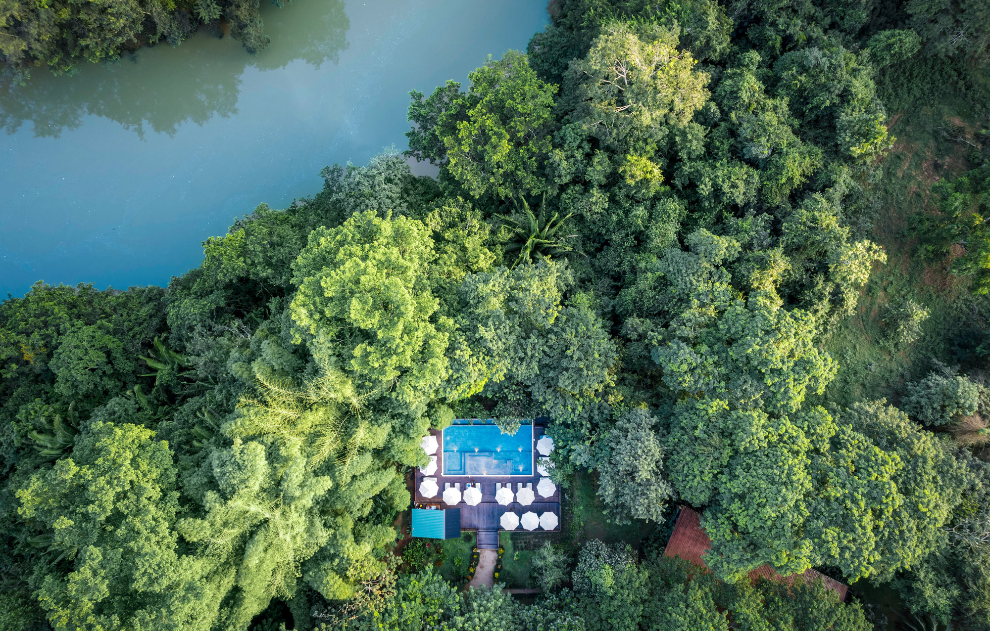 Sweet Songs Jungle Lodge Belize, accommodatie natuur zwembad met ligbedden in jungle