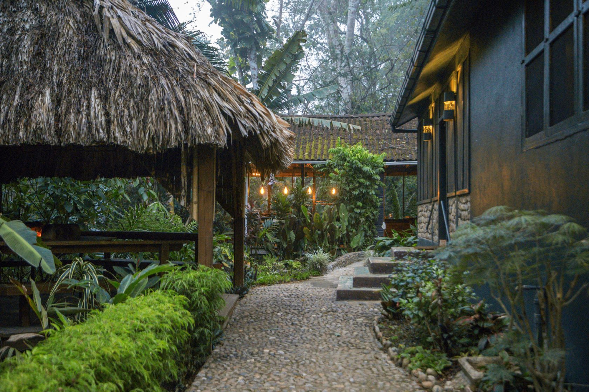 Sweet Songs Jungle Lodge Belize, accommodatie natuur jungle