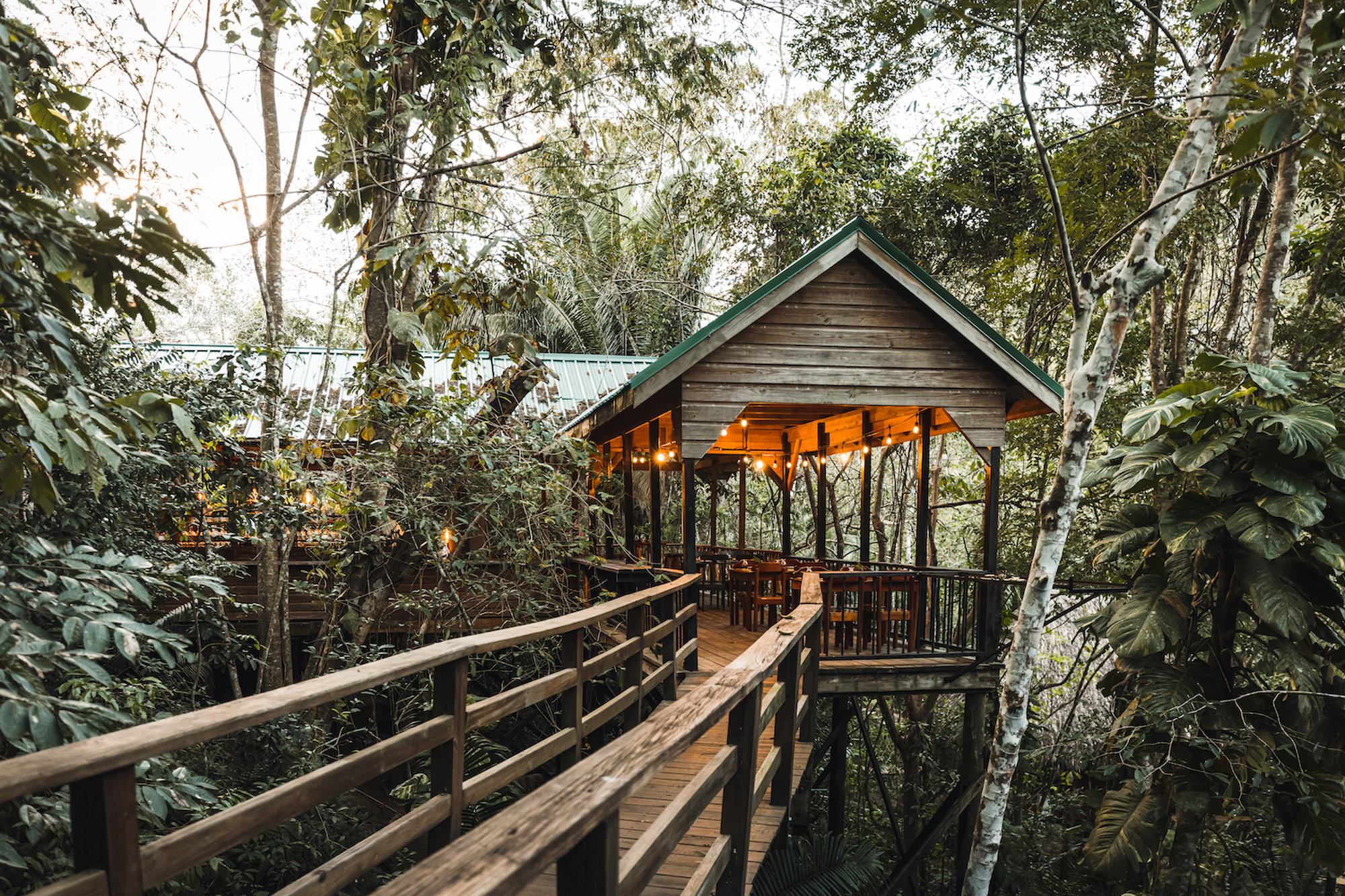 Sweet Songs Jungle Lodge Belize, accommodatie natuur jungle treehouse bar, boomhut