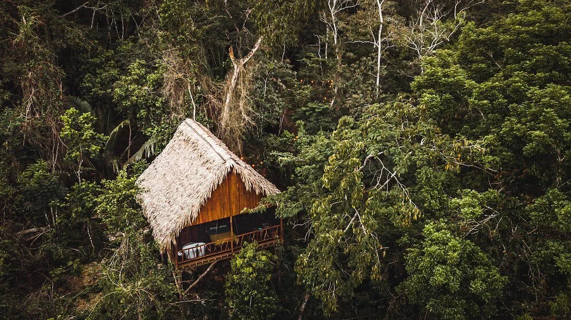 Sweet Songs Jungle Lodge Belize, accommodatie natuur jungle boomhut