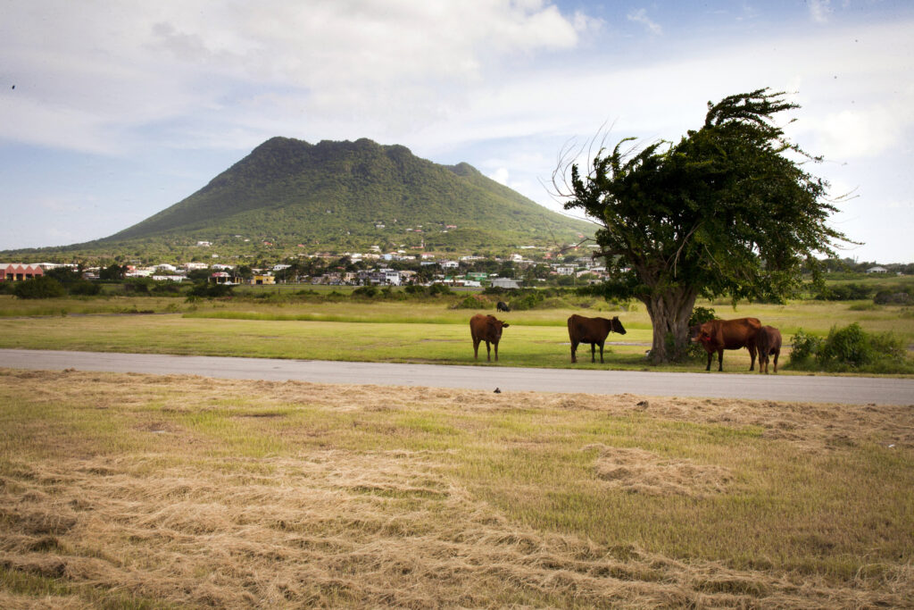 Statia, st eustatius, strand, ervaring klanten, reizigers