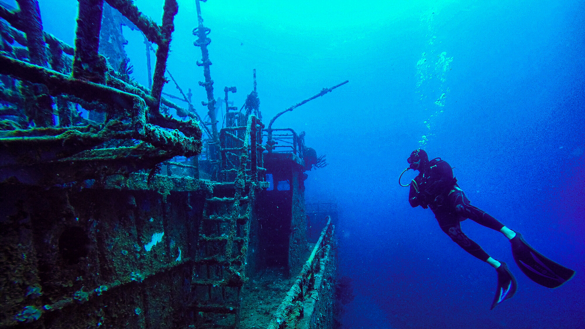Duiker St. Eustatius, scheepswrak