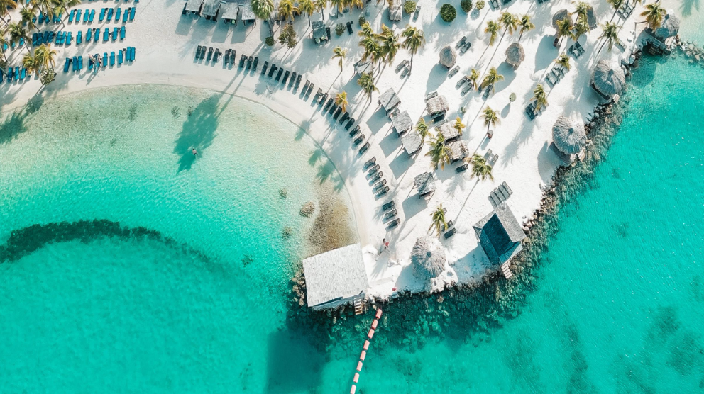 Lionsdive Mambo Beach Curacao Seaaqarium Beach Prive Strand